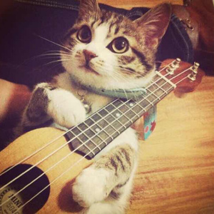 日本老师下面毛毛茸
