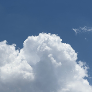 日本老师下面毛毛茸
